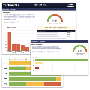 TechAudits website health scan report screenshots